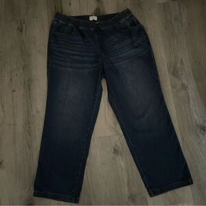 Lane Bryant Pull-On Mid-Rise Women’s Jeans Size 18